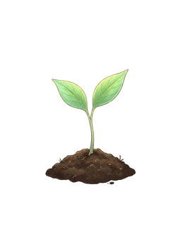 Planting Seeds